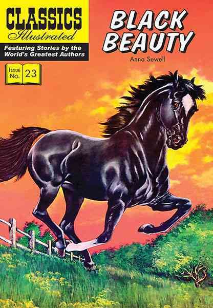 Black Beauty 9781906814496 (Paperback)