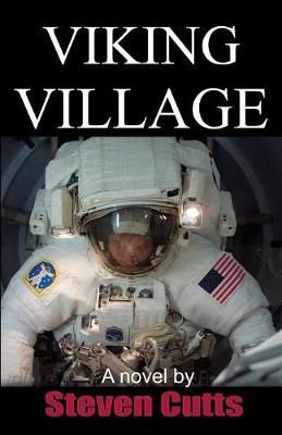 Viking Village By Steven Cutts 9781907172908 (Paperback)