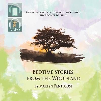 Bedtime Stories from the Woodland By Pentecost, Martyn 9781907282232