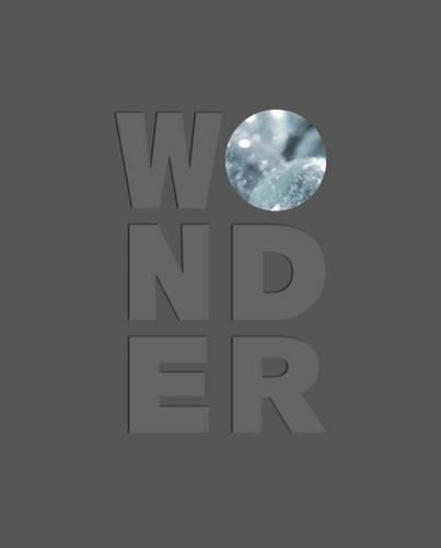 Wonder 9781907804830 (Hardback)