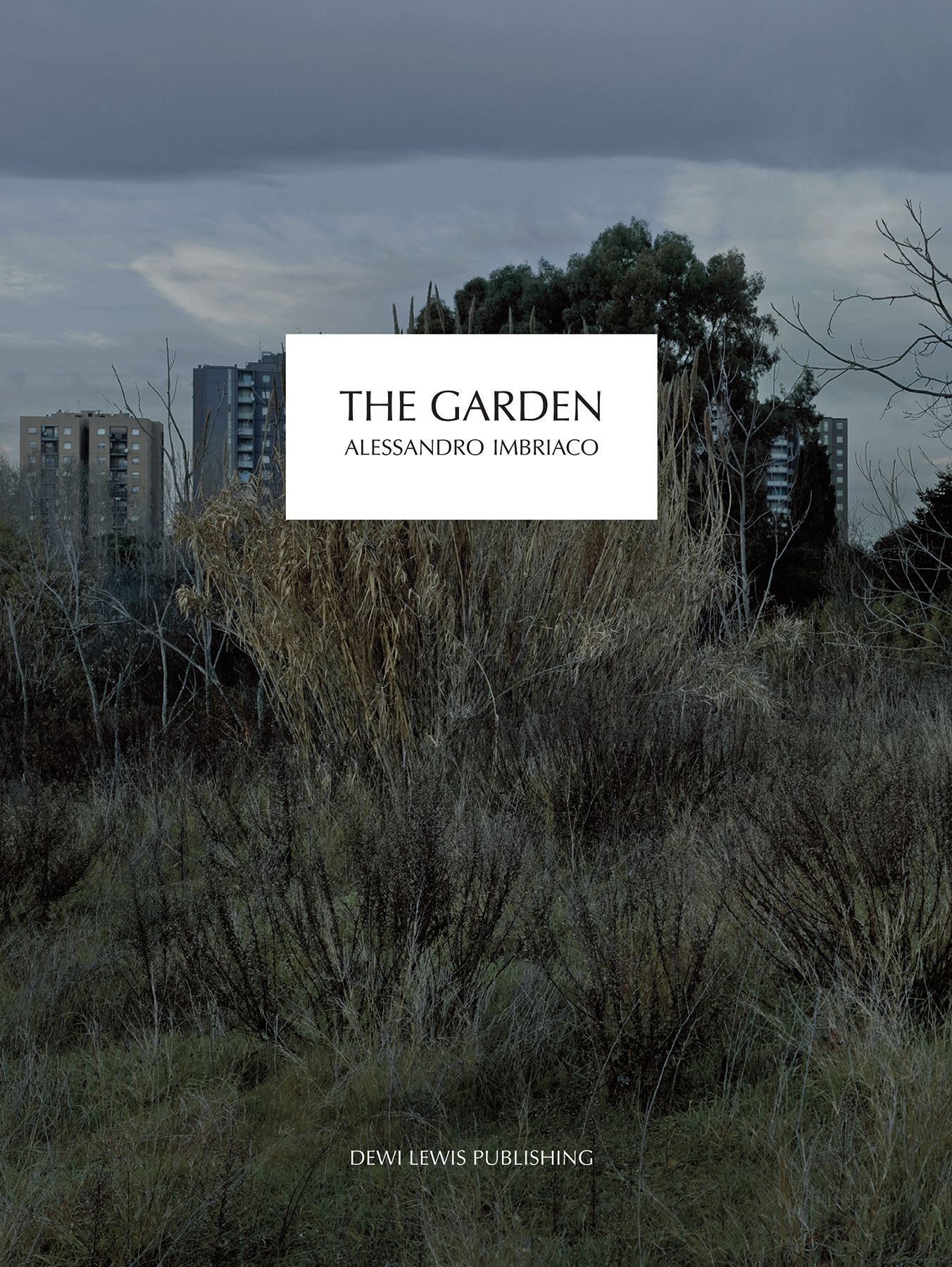 The Garden By Alessandro Imbriaco 9781907893278 (Hardback)