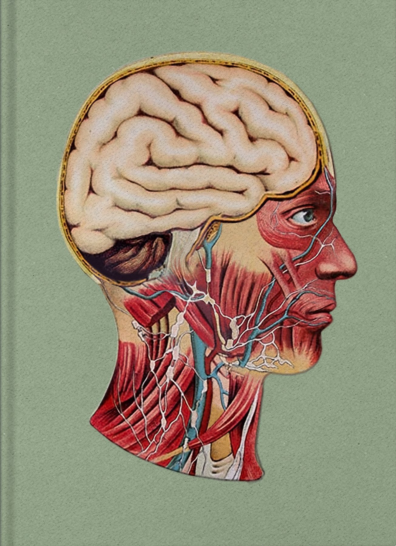 Maybe By Phillip Toledano 9781907893711 (Hardback)