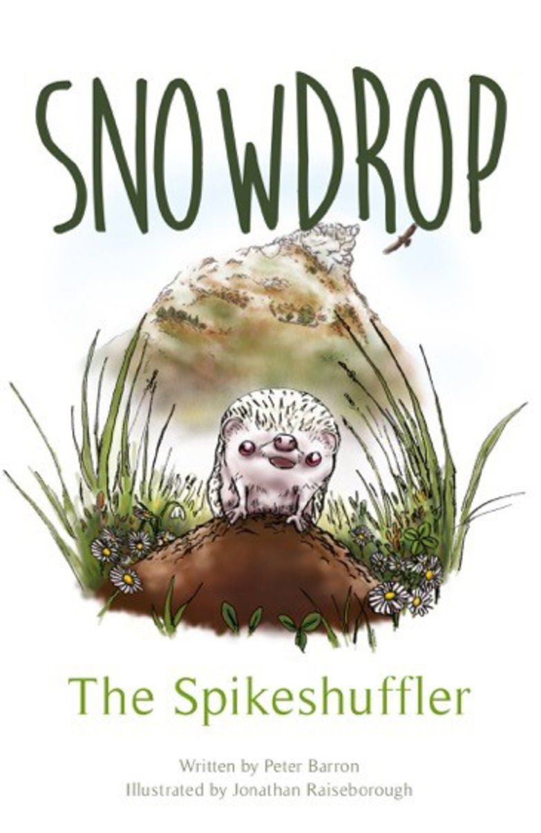 Snowdrop By Peter Barron 9781908211583 (Paperback)