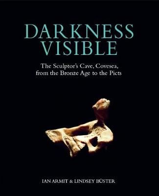 Darkness Visible 9781908332172 (Paperback)