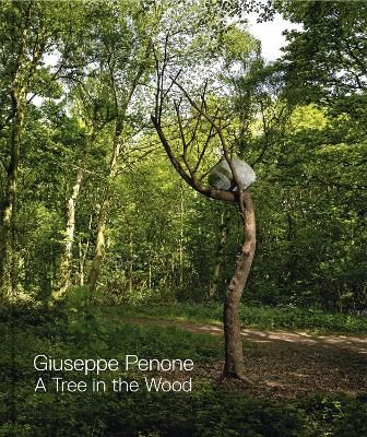 Giuseppe Penone By Martin Gayford 9781908432391 (Hardback)