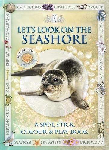 Let's Look on the Seashore By Caz Buckingham 9781908489111 (Paperback)