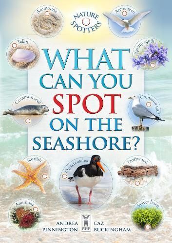 What Can You Spot on the Seashore? By Caz Buckingham 9781908489708