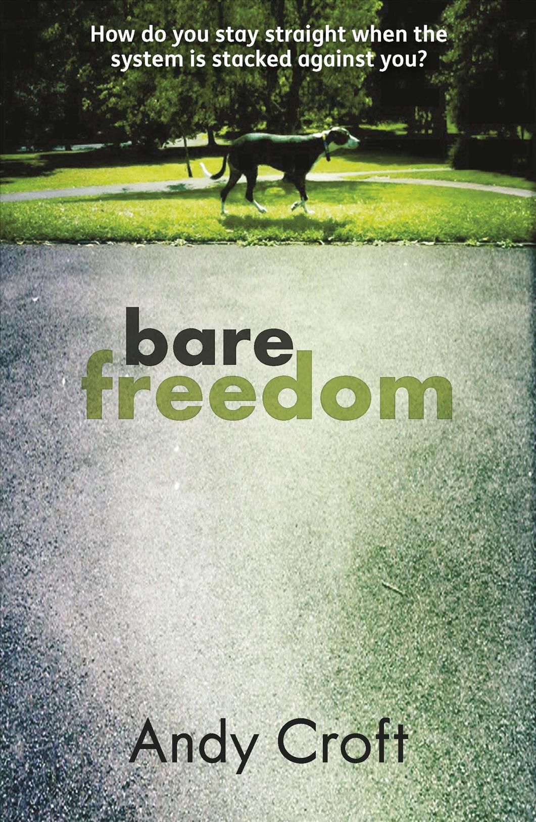Bare Freedom By Andy Croft 9781908713032 (Paperback)