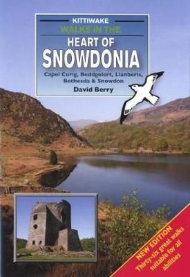 Walks in the Heart of Snowdonia By David Berry 9781908748171