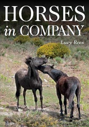 Horses in Company By Lucy Rees 9781908809568 (Paperback)