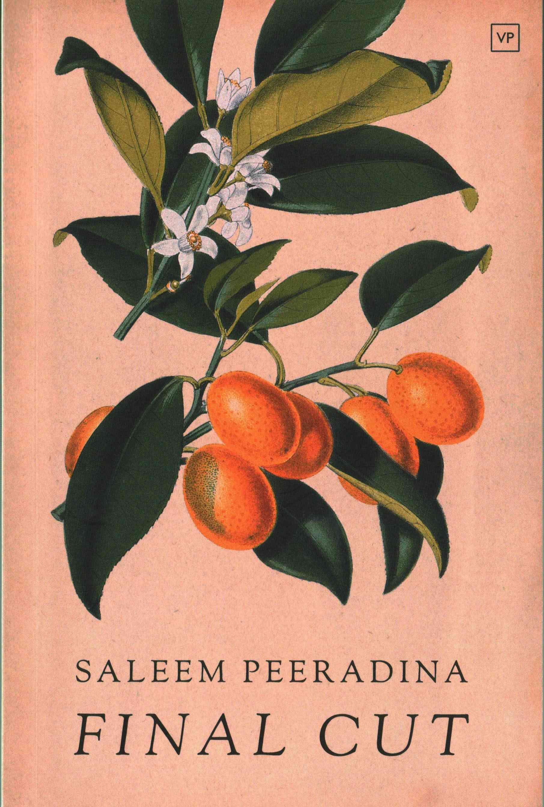 Final Cut By Saleem Peeradina 9781908853684 (Paperback)