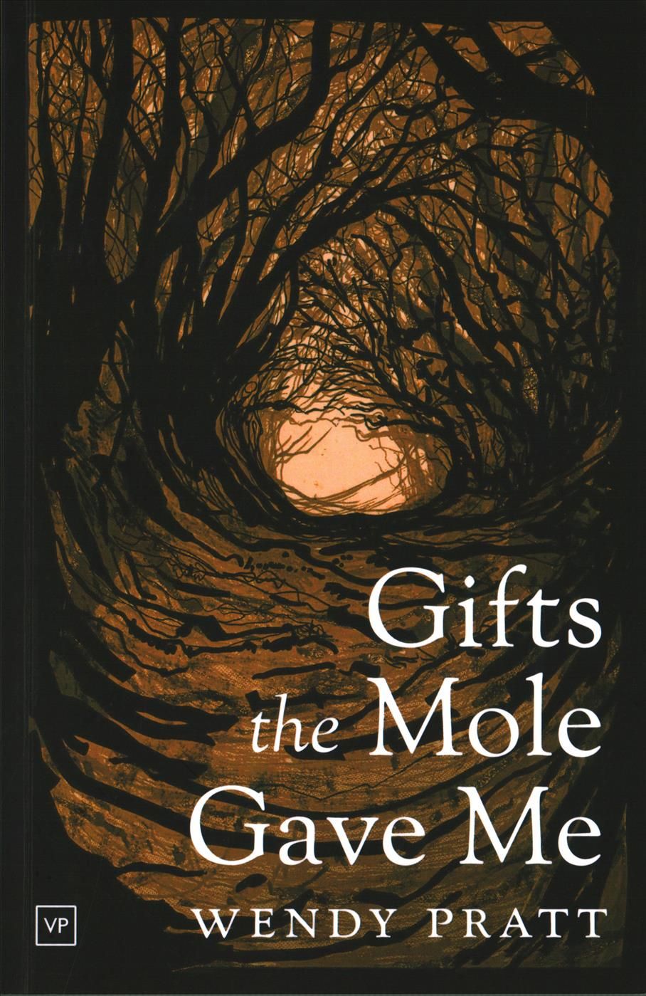 Gifts the Mole Gave Me By Wendy Pratt 9781908853882 (Paperback)