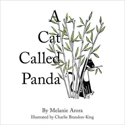 A Cat Called Panda 9781908985231 (Hardback)