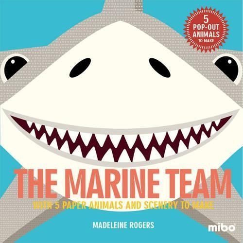 The Marine Team By Jason Hook (author), Madeleine Rogers (artist)
