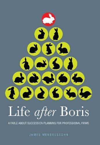 Life After Boris By James Mendelssohn 9781909116047 (Paperback)