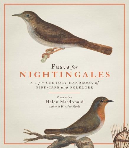 Pasta for Nightingales By Giovanni Pietro Olina, Cassiano Dal Pozzo