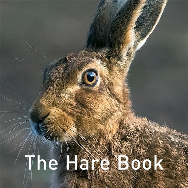 The Hare Book By Jane Russ (editor), Hare Preservation Trust