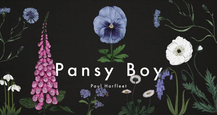 Pansy Boy By Paul Harfleet 9781909954243 (Hardback)