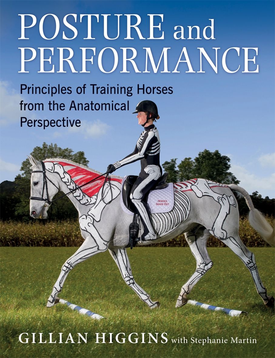 Posture and Performance By Gillian Higgins 9781910016008 (Hardback)
