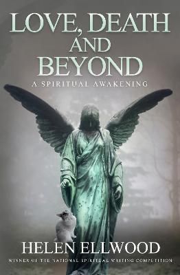 Love, Death and Beyond By Helen Ellwood 9781910027516 (Paperback)