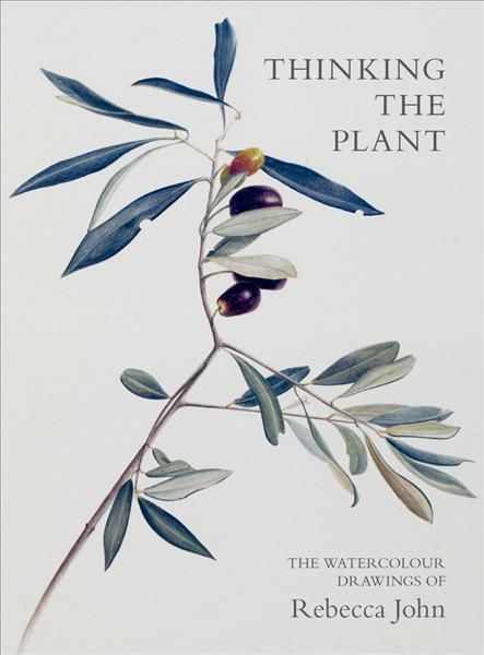 Thinking the Plant By Rebecca John 9781910258316 (Paperback)