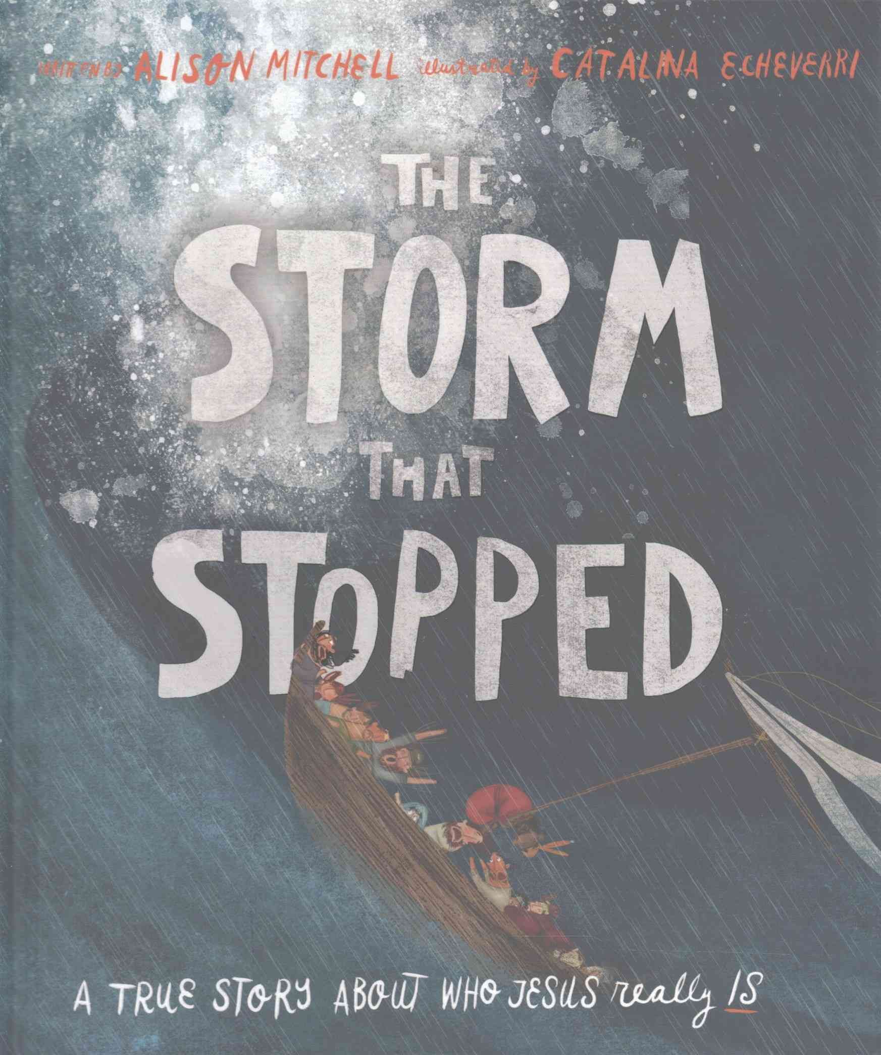 The Storm That Stopped 9781910307960 (Hardback)