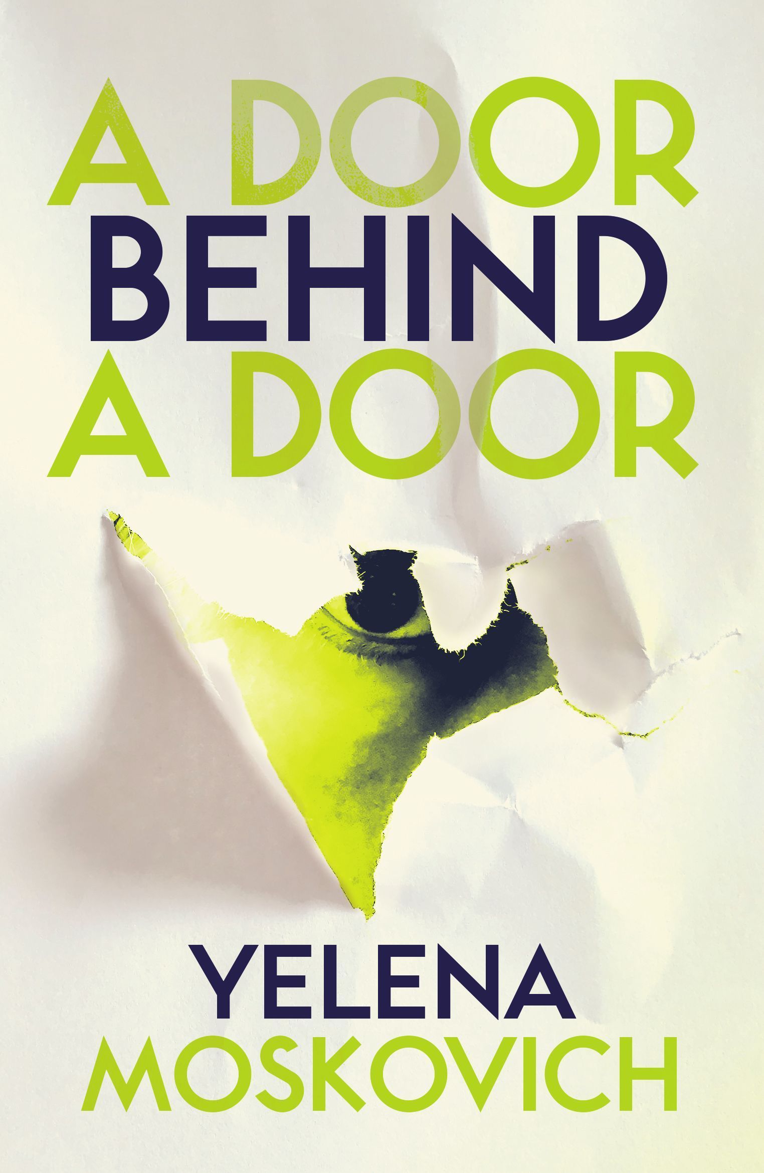 A Door Behind a Door By Yelena Moskovich 9781910312933 (Paperback)