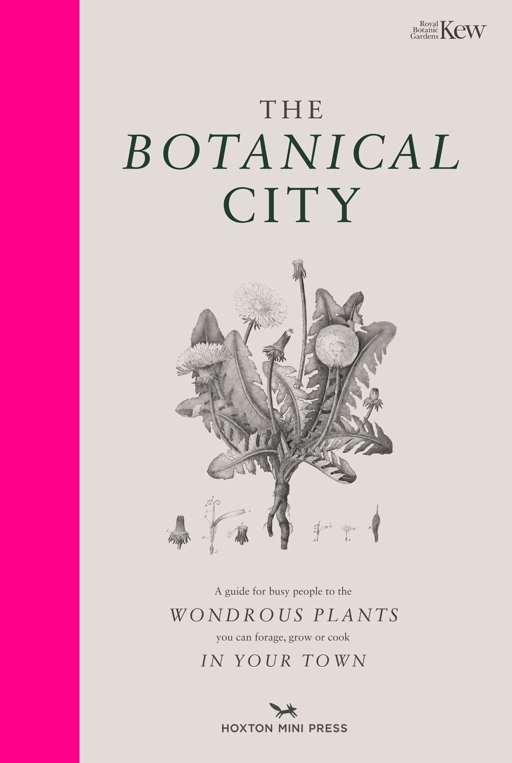 The Botanical City By Helena Dove 9781910566794 (Hardback)