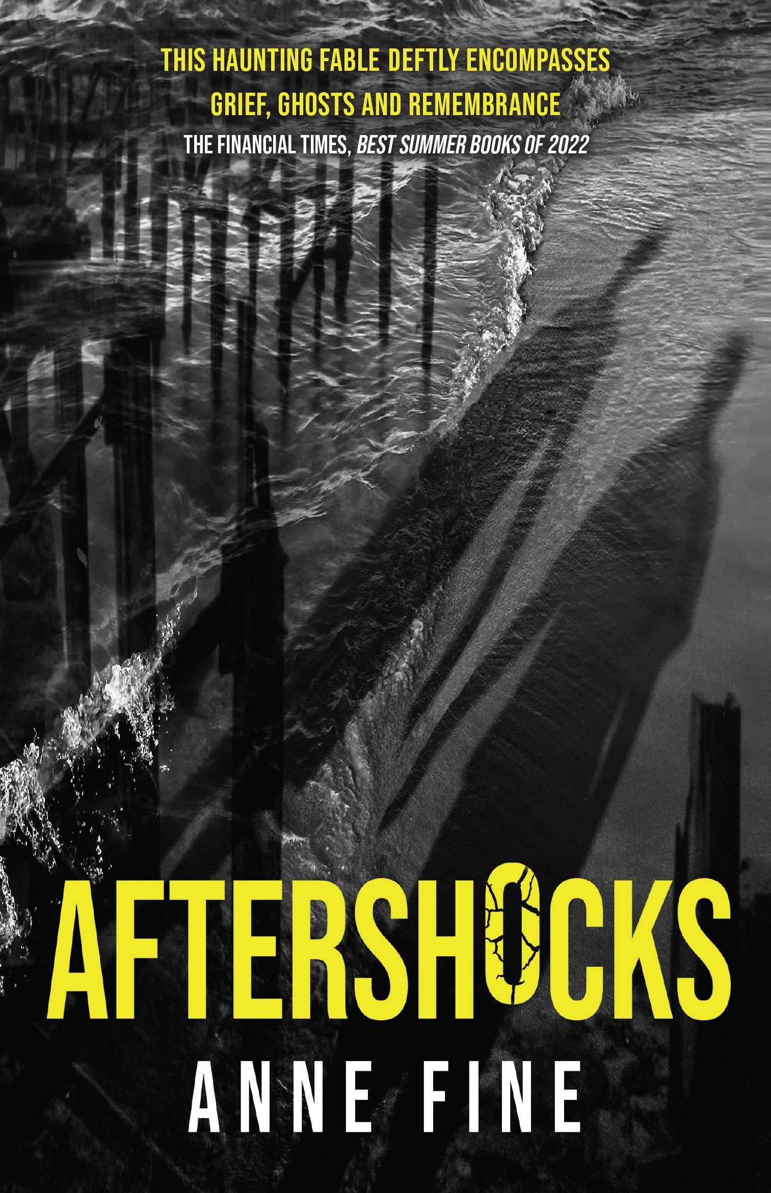 Aftershocks By Anne Fine 9781910646823 (Paperback)
