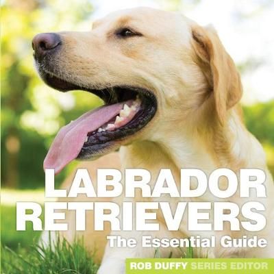 Labrador Retrievers By Robert Duffy (editor) 9781910843413 (Paperback)