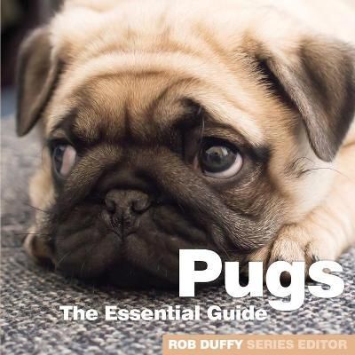 Pugs By Robert Duffy (editor) 9781910843420 (Paperback)