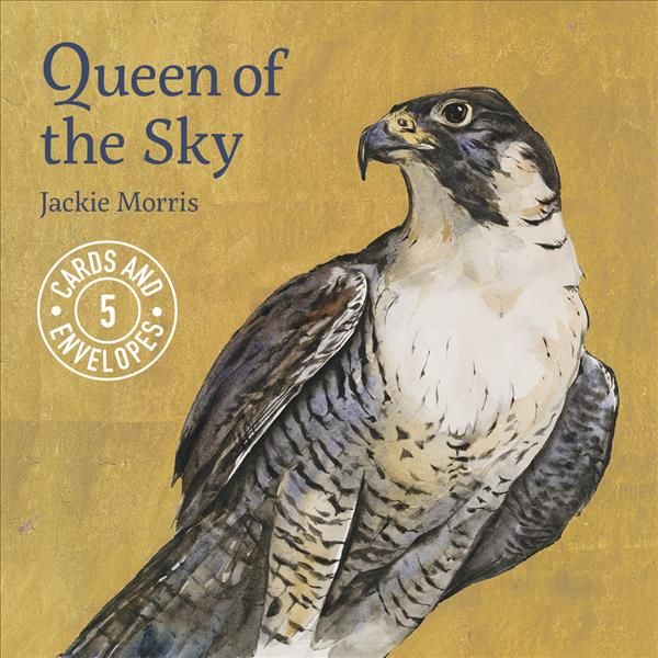 Jackie Morris Queen of the Sky Cards Pack 1 By Jackie Morris