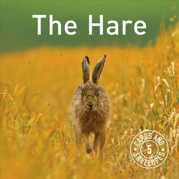 Hare Notepack, The By The Hare Preservation Trust 9781910862872