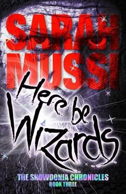 Here be Wizards By Sarah Mussi 9781911342342 (Paperback)