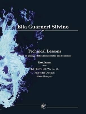 Technical Lessons By Silvino Elia Guarneri 9781911424093 (Paperback)