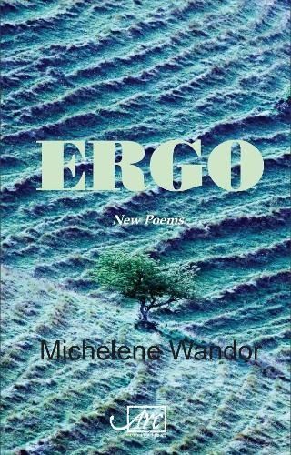 Ergo By Michelene Wandor 9781911469759 (Paperback)