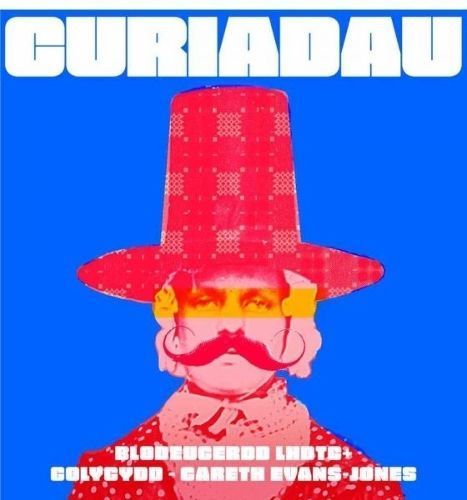 Curiadau: Blodeugerdd LHDTC+ By Amrywiol 9781911584742 (Paperback)
