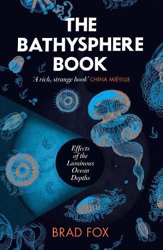 The Bathysphere Book By Brad Fox 9781911590859 (Hardback)