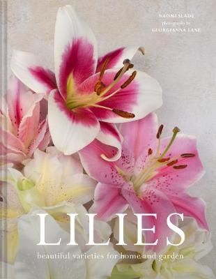 Lilies By Naomi Slade (author), Georgianna Lane (illustrator)