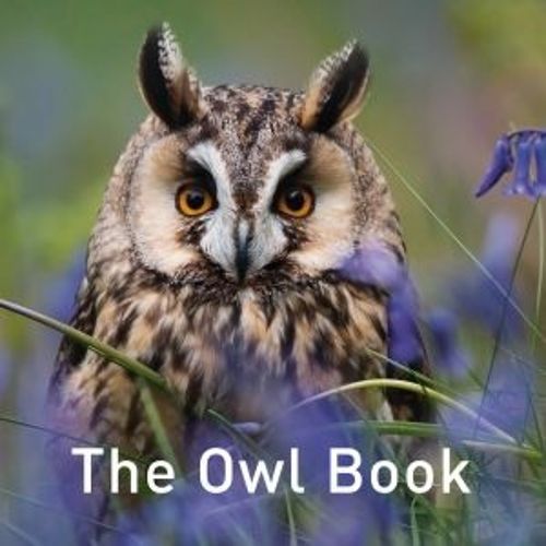 The Owl Book By Jane Russ 9781912050420 (Hardback)