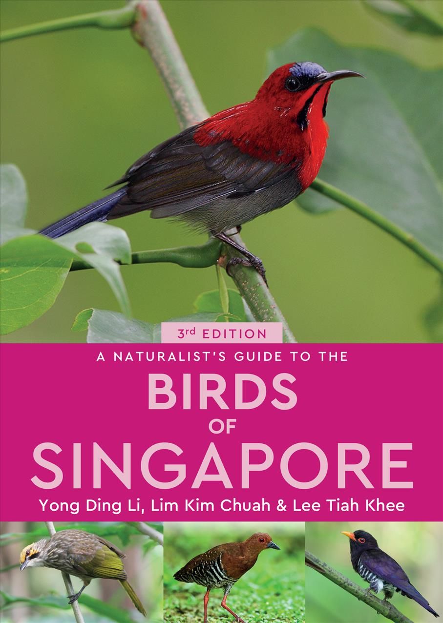A Naturalist's Guide to the Birds of Singapore 9781912081653
