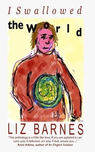 I Swallowed the World By Liz Barnes (author), Liz Barnes (illustrator)