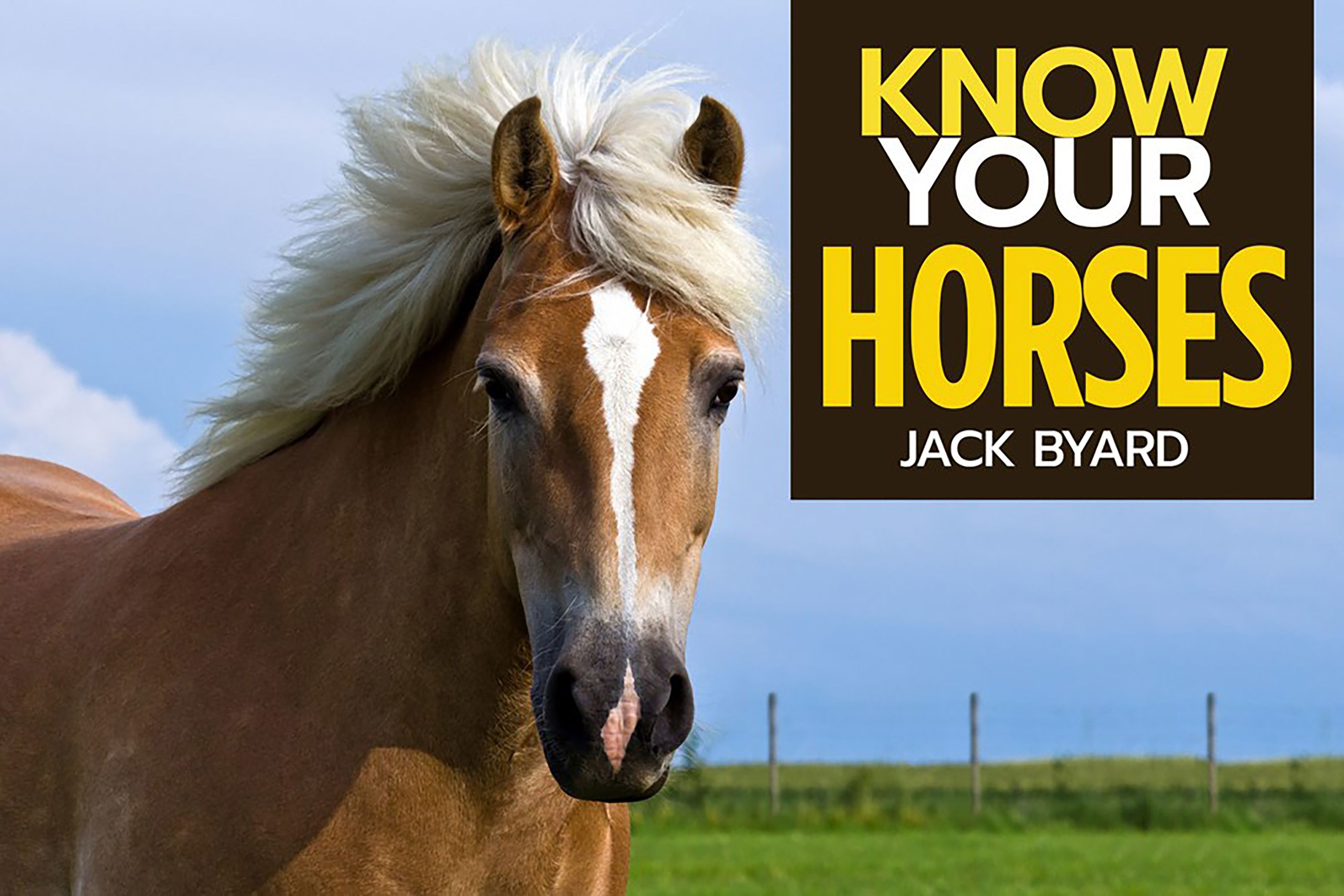 Know Your Horses By Jack Byard 9781912158492 (Paperback)