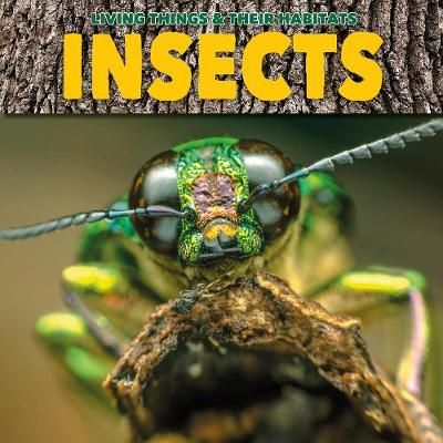 Insects By Grace Jones 9781912171811 (Paperback)