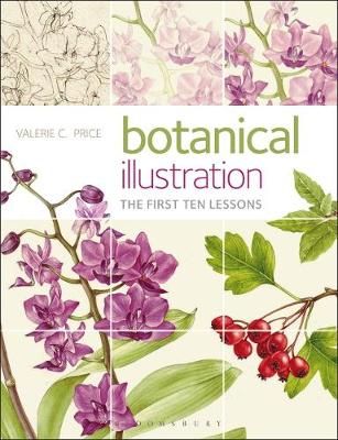 Botanical Illustration By Valerie C. Price 9781912217151 (Paperback)