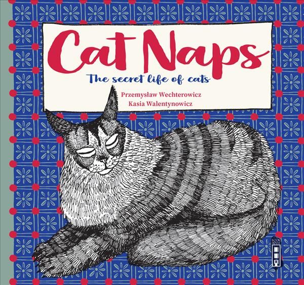 The Secret Lives of Cats By Przemyslaw Wechterowicz 9781912537839