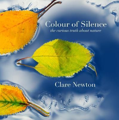 Colour of Silence By Clare Newton (photographer) 9781912951031