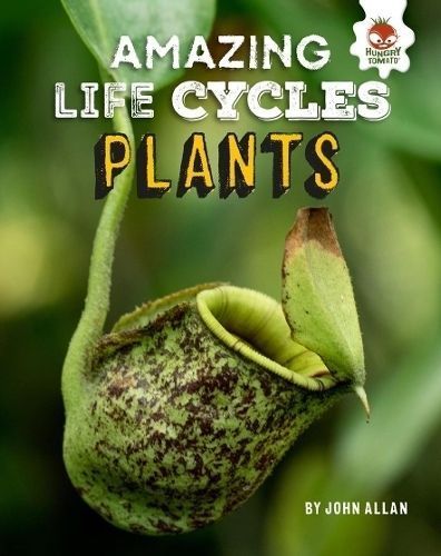 Plants By John Allan 9781913077006 (Paperback)