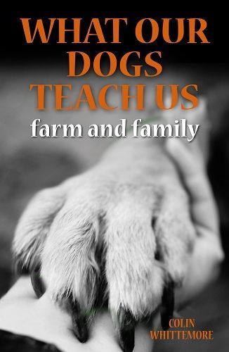 Taught by Dogs By Colin Whittemore 9781913159788 (Hardback)