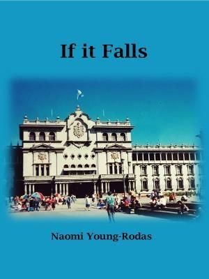 If It Falls By Naomi Young-Rodas 9781913294809 (Paperback)